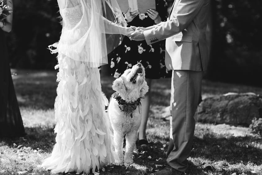 Real Wedding A Backyard Bluegrass Bash in Pennsylvania Apartment Therapy