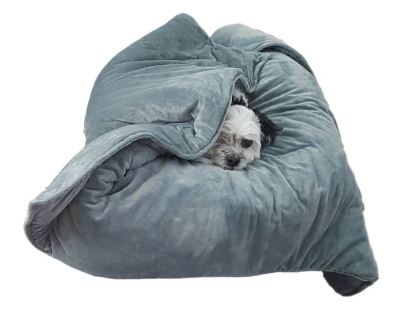 Weighted blanket for store pets