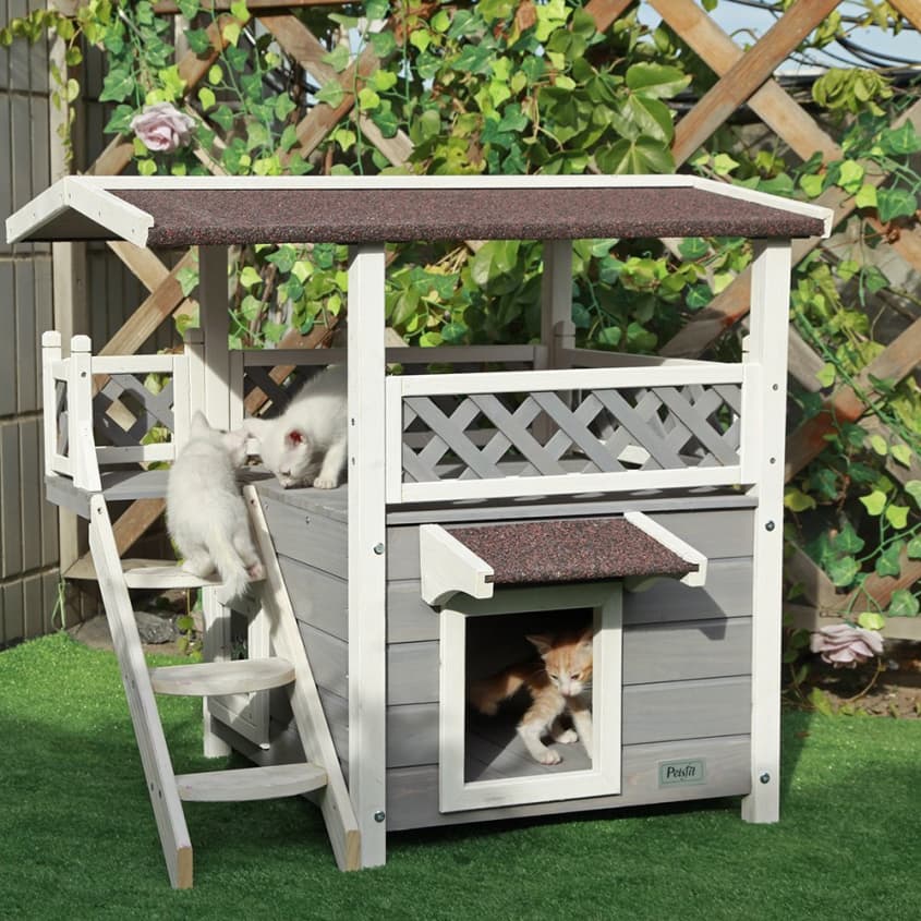You Can Make Your Cat’s Summer Fun With This 2Story House From Amazon