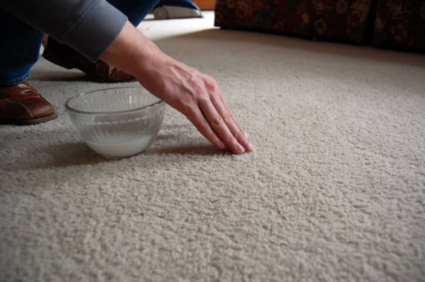 How To Deep Clean Carpet From Pet Stains