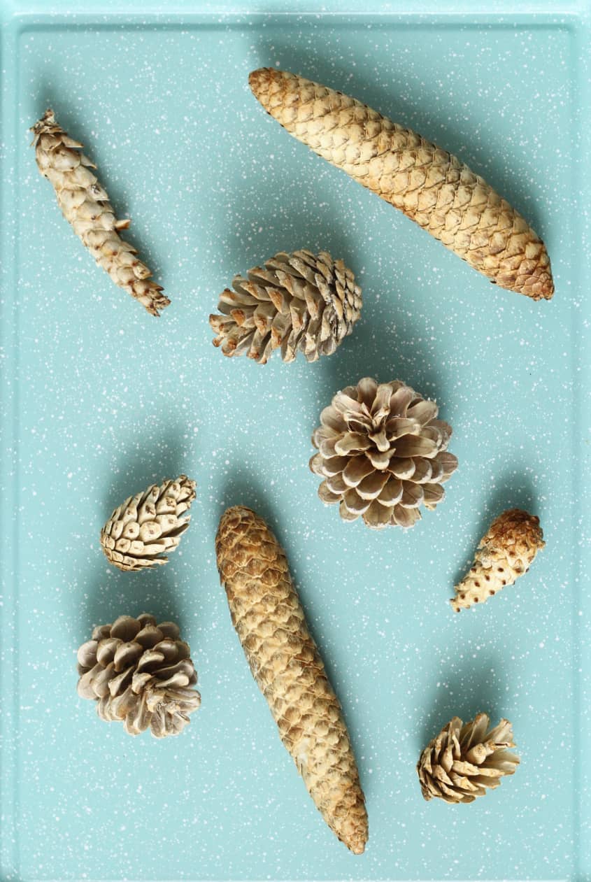 How To Bleach and Scent Pinecones for Holiday Decor The Kitchn