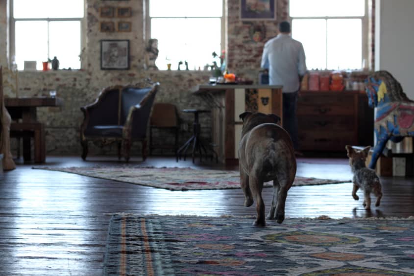 Design Star Antonio Ballatore’s Downtown Loft Apartment Therapy