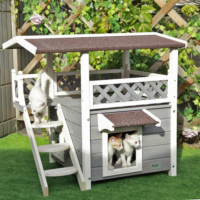 Outdoor cat on sale shelter for summer