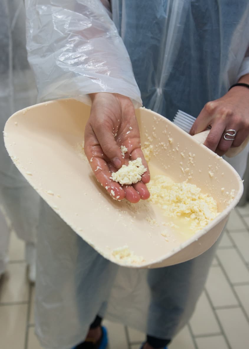 You Have to Get Up Early to Make Comté Cheese in France | The Kitchn