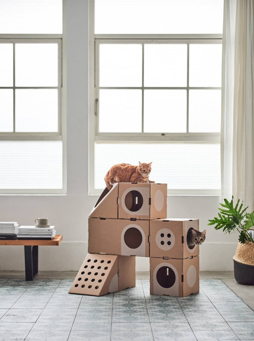 Cardboard box cat outlet tree