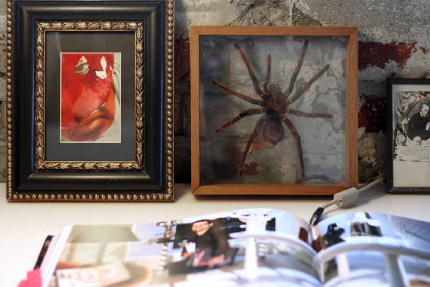 Design Star Antonio Ballatore’s Downtown Loft Apartment Therapy