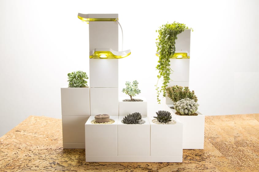 This Indoor Smart Garden Snaps Together Like LEGO Blocks