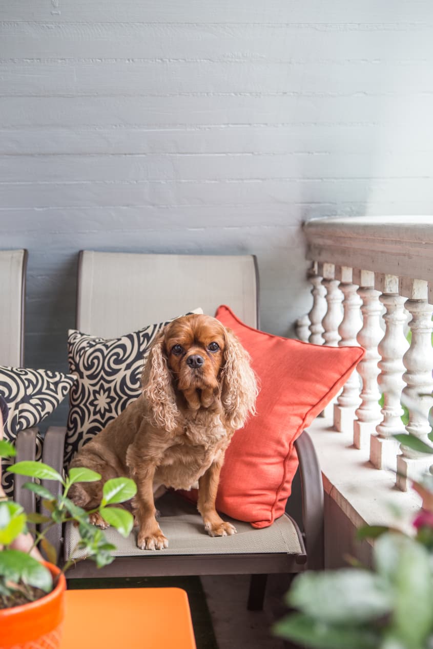 Sully Mansion Innkeeper's New Orleans Apartment Apartment Therapy