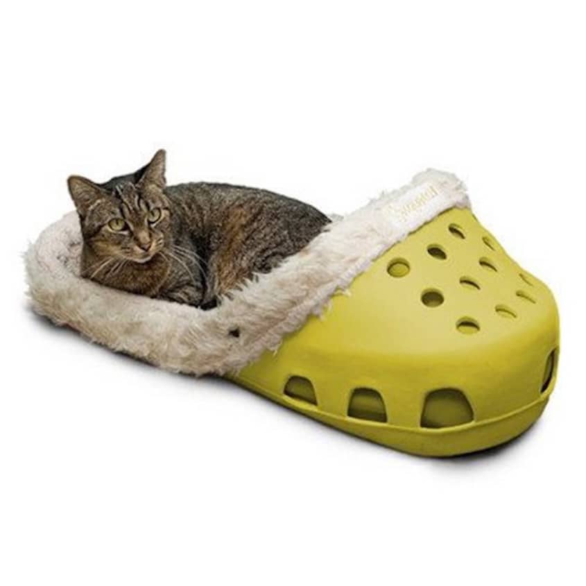 Giant croc deals shoe dog bed