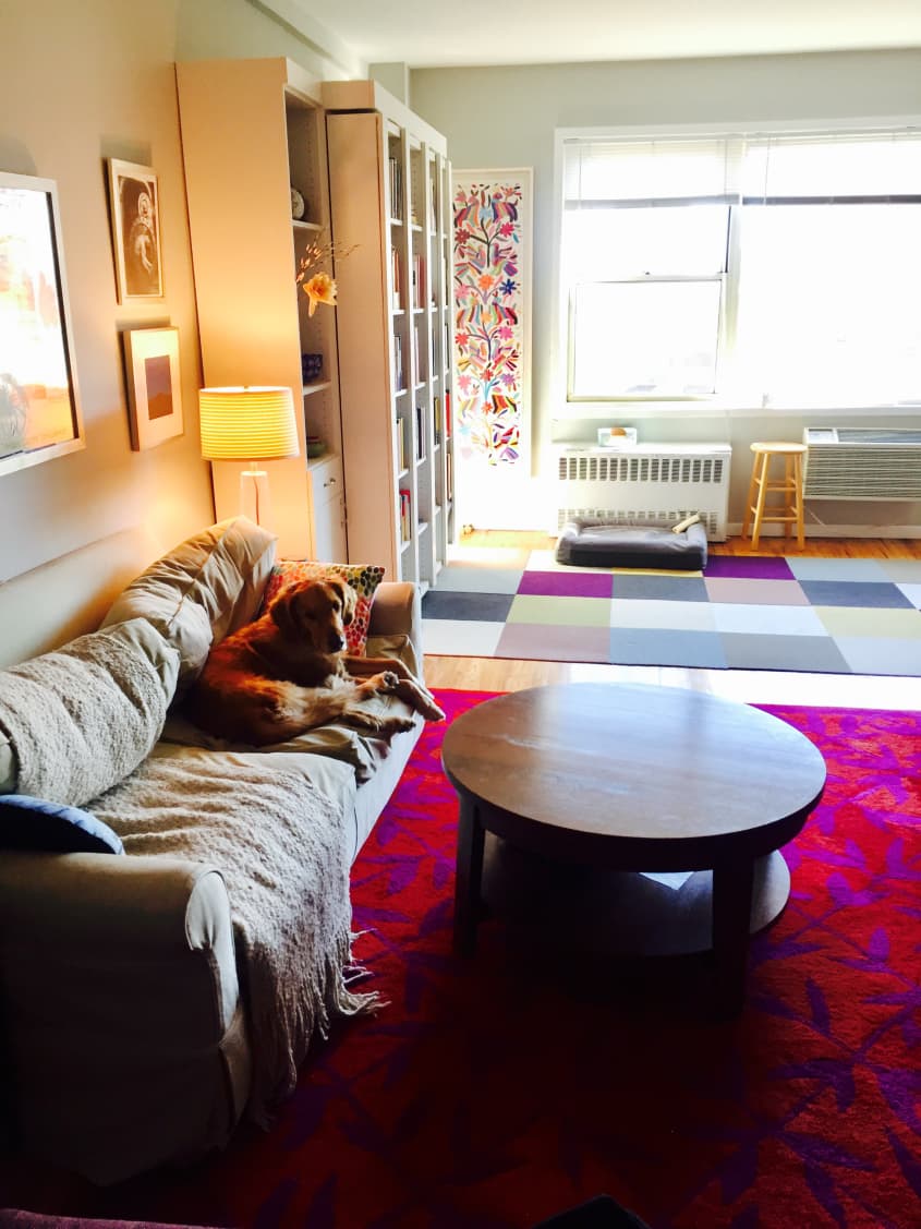 Making a NYC Studio Apartment Work with a Murphy Bed Apartment Therapy