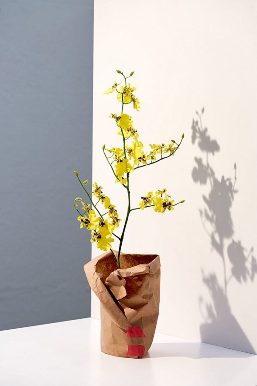 Realistic Fake Artificial Plants The Kitchn