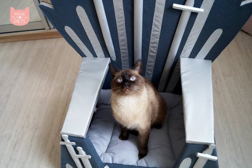 Iron throne pet bed sale