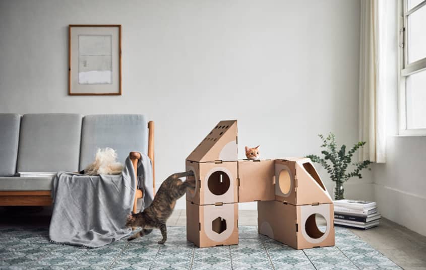 Cat Tree Modular Cardboard Photos Apartment Therapy