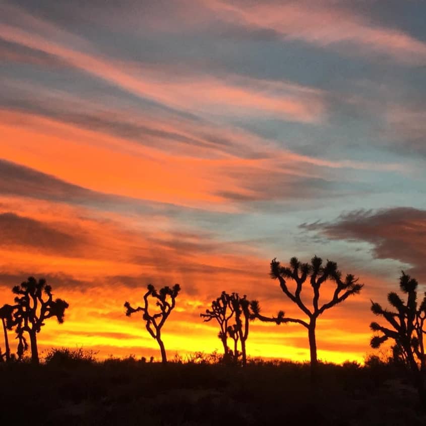 Wild West Pioneertown For Sale Photos Apartment Therapy