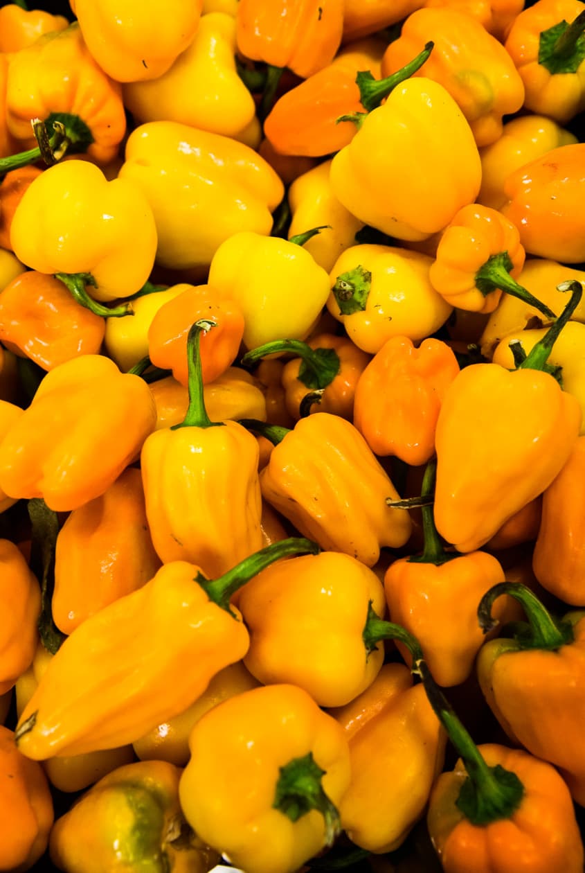 CoOp Sauce A Chicago Hot Sauce Company With a Great Mission The Kitchn