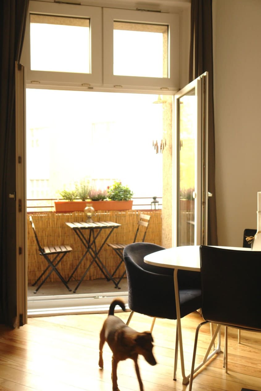 House Tour A Sunny Studio Apartment in Berlin Apartment Therapy