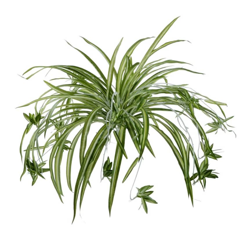 How to Pick the Best Fake Plants A Faux Plant Buying Guide 2021