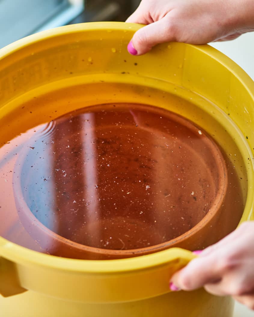how-to-soak-a-terracotta-pot-before-planting-apartment-therapy