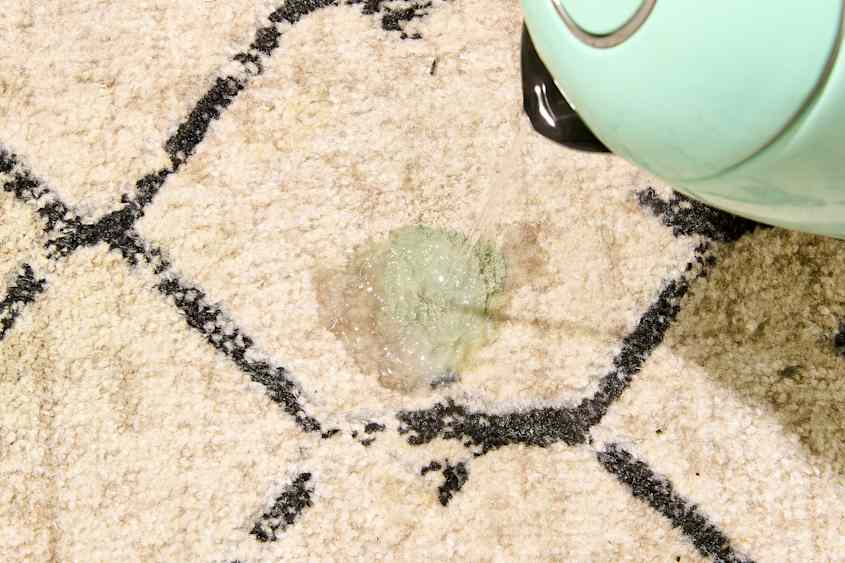 How to Get Even the Most Stubborn Paint Stains Out of Carpet, According ...