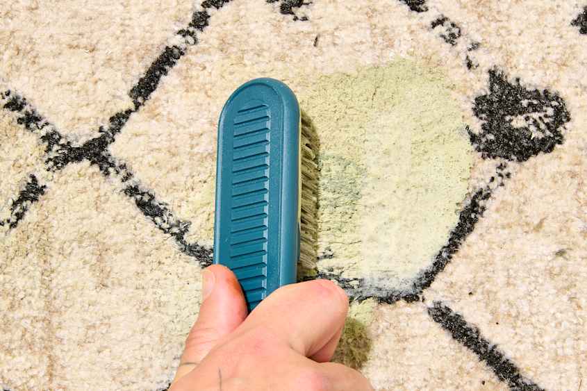 How to Get Even the Most Stubborn Paint Stains Out of Carpet, According ...