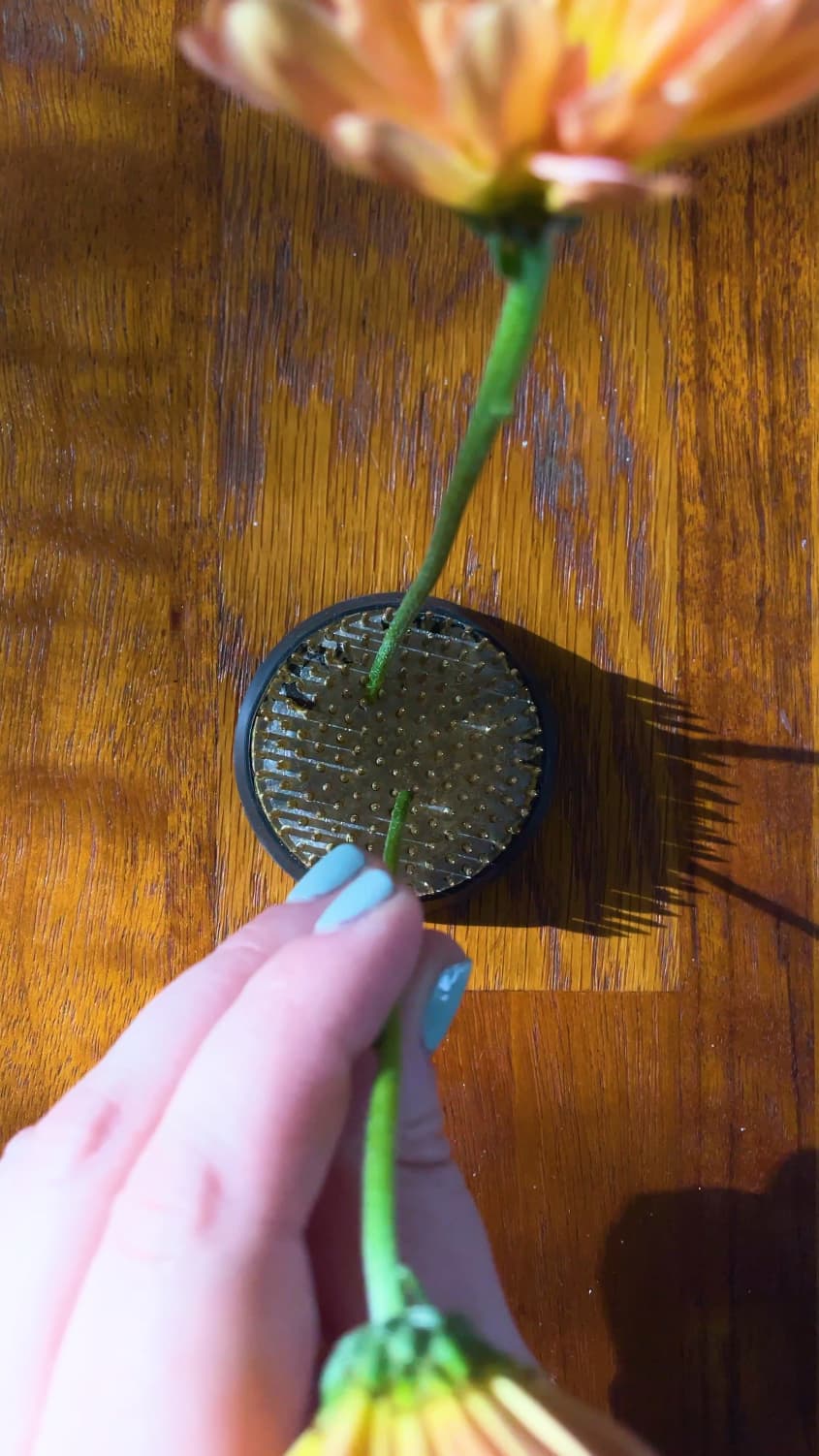 How to Use a Flower Frog Apartment Therapy