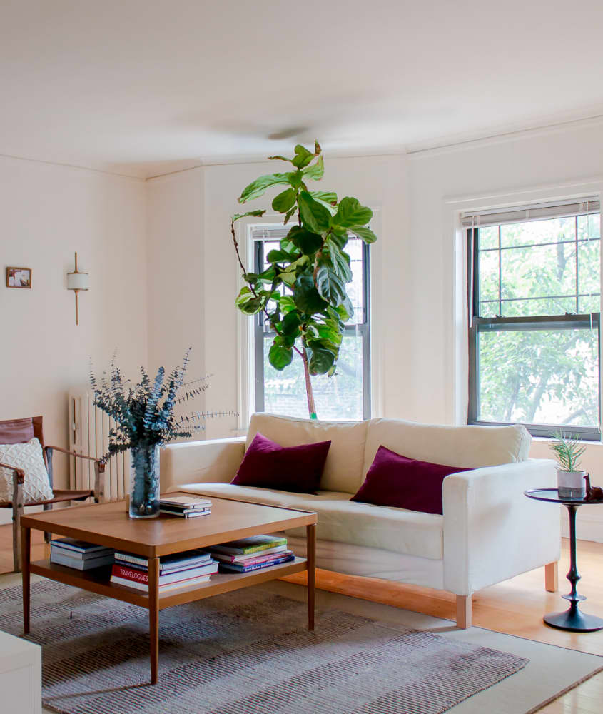 Budget-Friendly Woodworking Projects for City Dwellers (Affordable ... - Apartment Renovation For City Dwellers