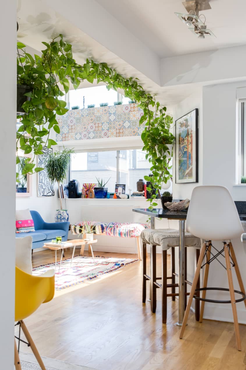 House Tour: A Sunny, Plant-Filled Manhattan Loft | Apartment Therapy