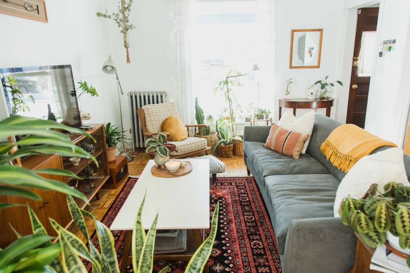 Plant-Filled Old Renovated Denver Rental Home Tour | Apartment Therapy