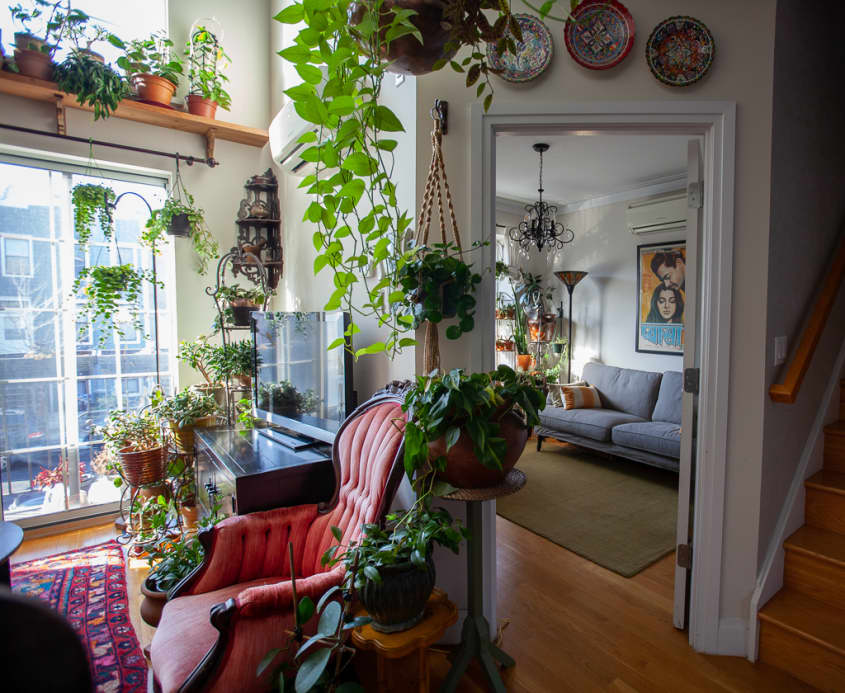 Plant-Filled Brooklyn Apartment Tour Photos | Apartment Therapy