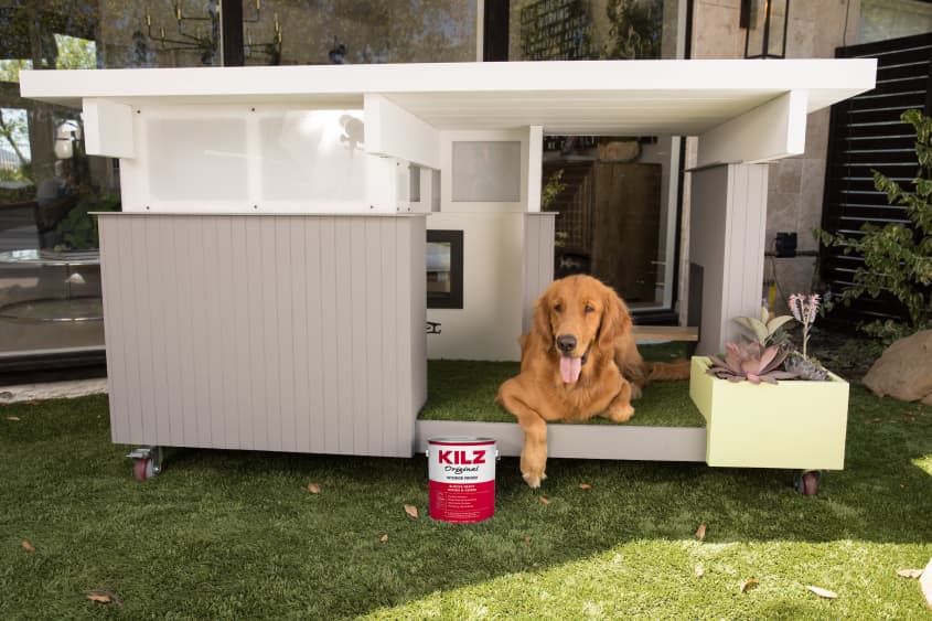 Dog House Luxury Design Retreats Apartment Therapy   PrimePupTimeKILZ