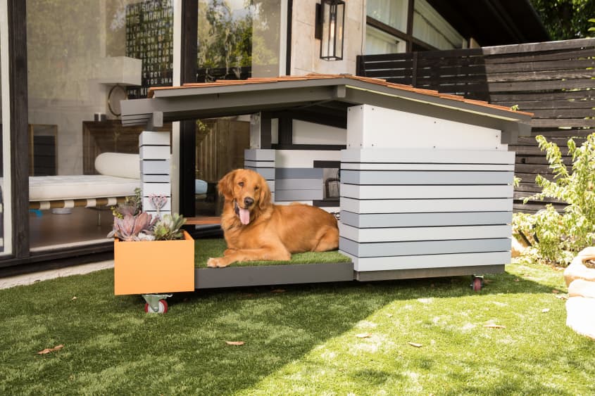 Fancy best sale dog houses