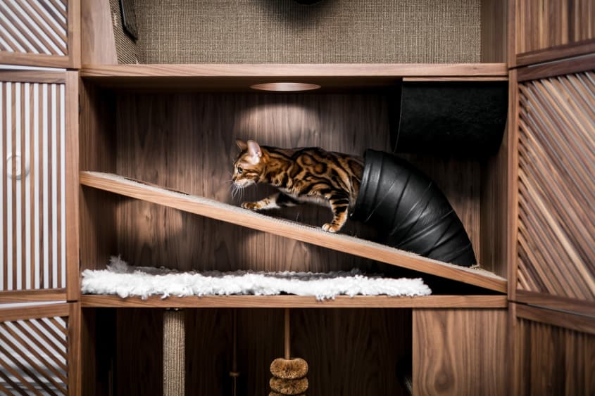 Cat Flat Cat Condo Cabinet | Apartment Therapy