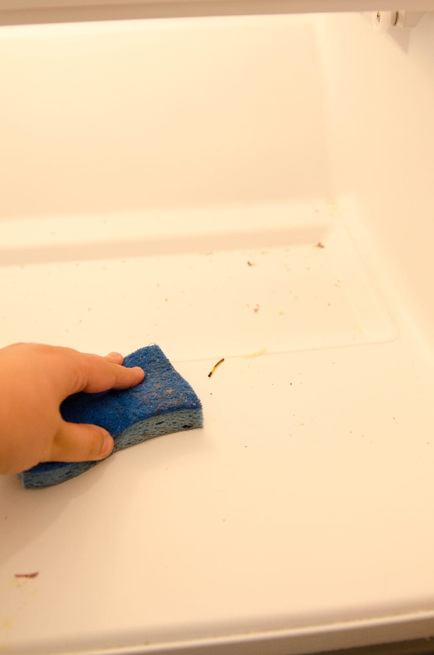 Hand cleaning a refrigerator shelf with a blue sponge, removing debris.