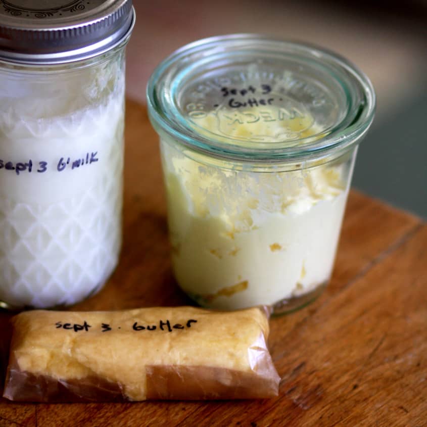 Let's talk about how easy it is to make butter! 🧈 Butter comes from o, how to make butter