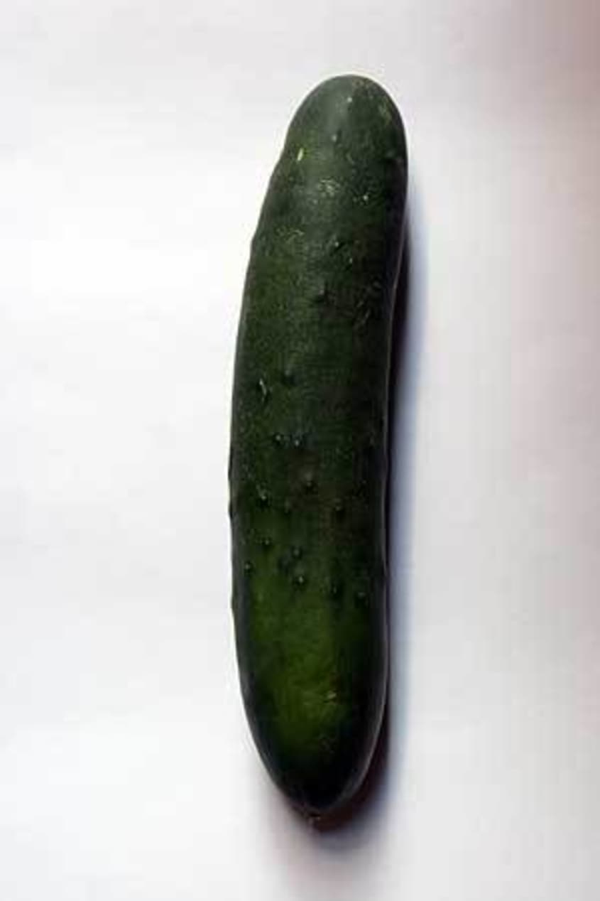 A Roundup of Cucumbers Kitchn