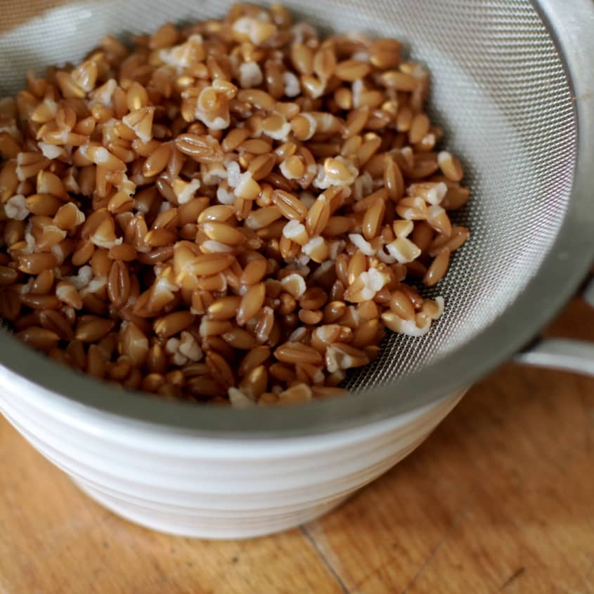 How to Cook Wheat Berries (Easy Stovetop Recipe) The Kitchn