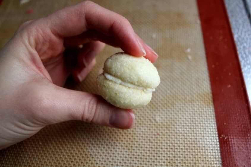 Cookie Recipe Glittering Lemon Sandwich Cookies The Kitchn