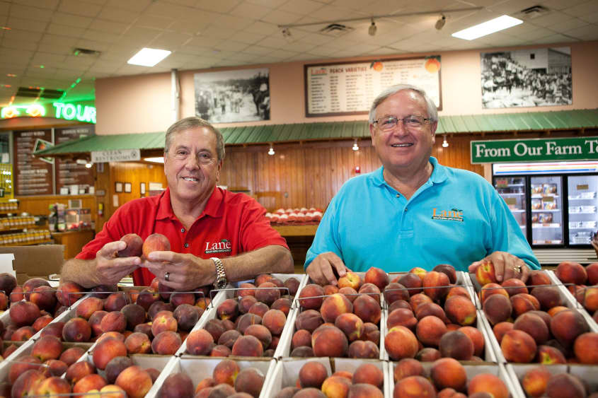 The Story of Lane Southern Orchards, Growing Peaches in for 107