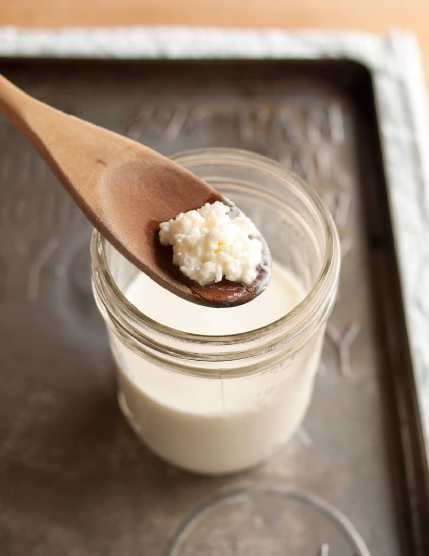 Milk Kefir Recipe (Thick and Creamy) The Kitchn
