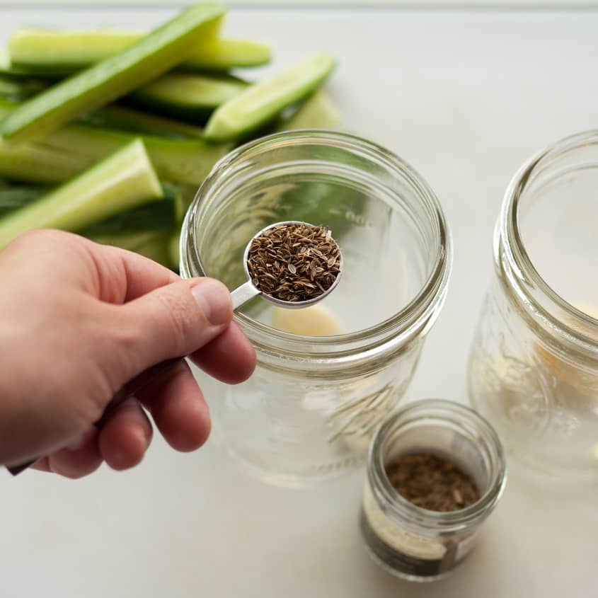 Easy Dill Pickles Recipe (With Dill Seed & Garlic) Kitchn