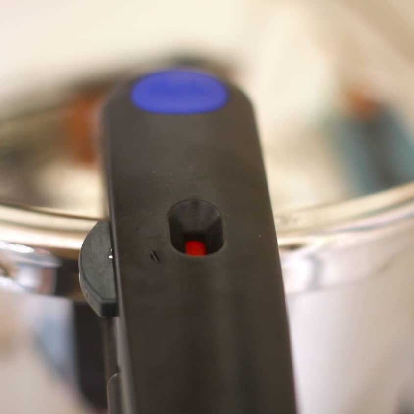Fissler Vitaquick Pressure Cooker, 8.5qt The Kitchn