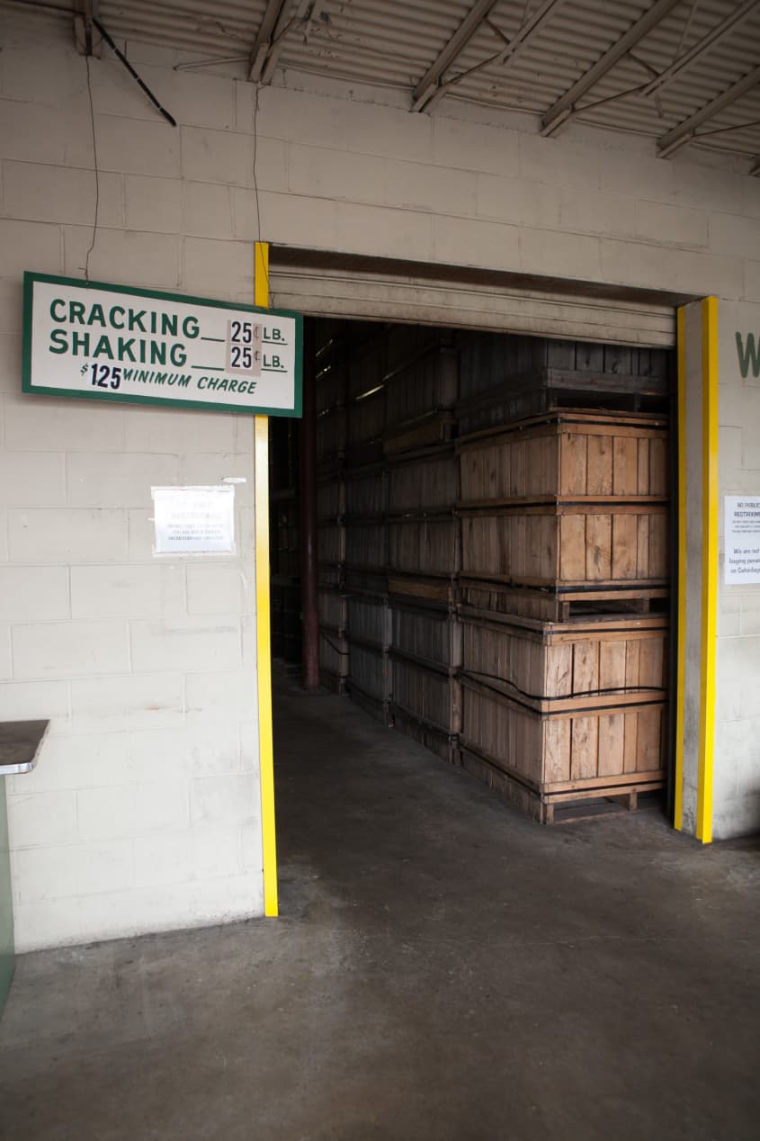 How Tucker Pecans Grows Pecans in Montgomery, Alabama The Kitchn