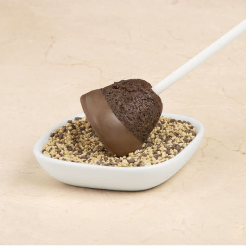 Wilton cake pop outlet mold