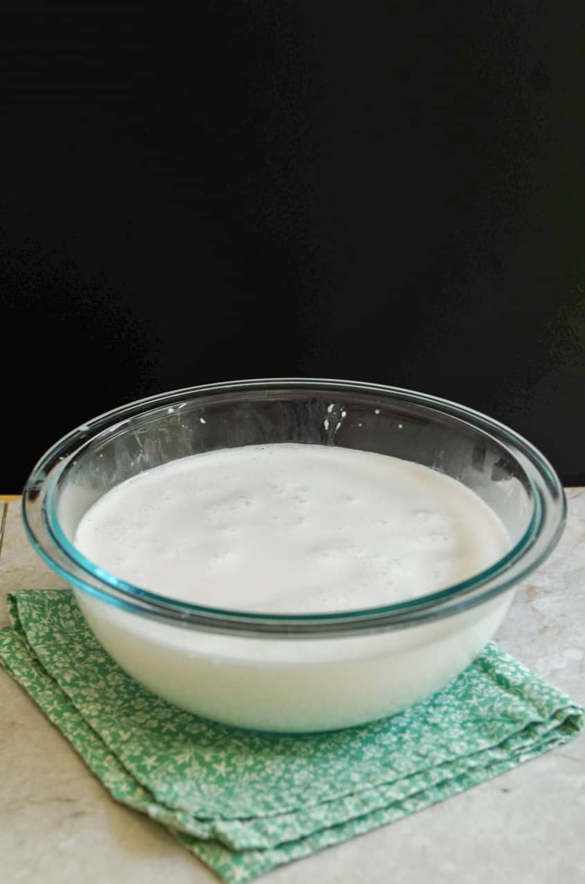 How To Make Coconut Milk (Easy 2Ingredient Recipe) The Kitchn