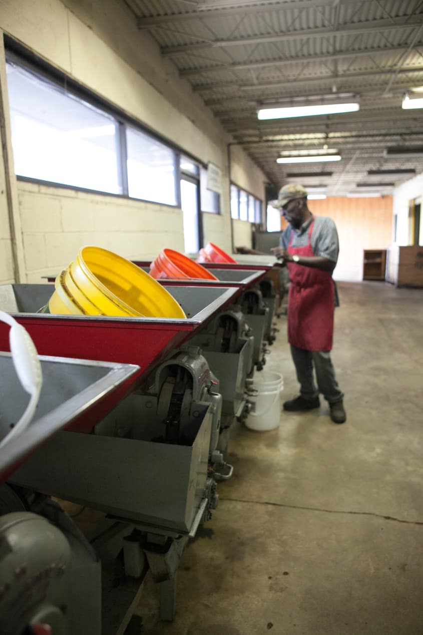 The Family Story of Tucker Pecans in Montgomery, Alabama The Kitchn