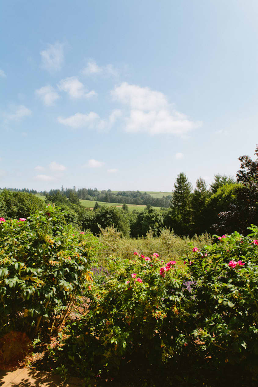 A Visit to Oregon Olive Mill Heritage Olive Oil From Dayton, Oregon