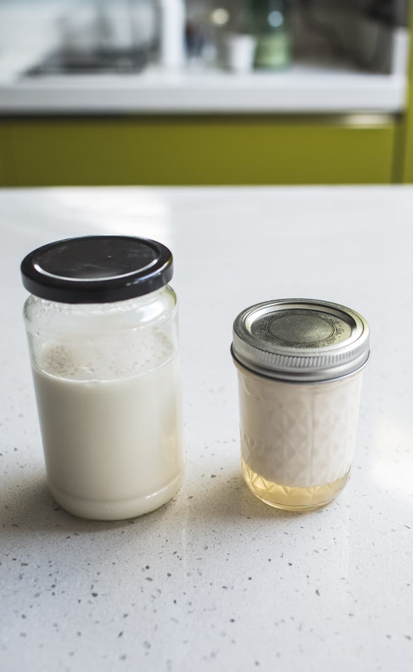 How To Make DairyFree Coconut Yogurt The Kitchn