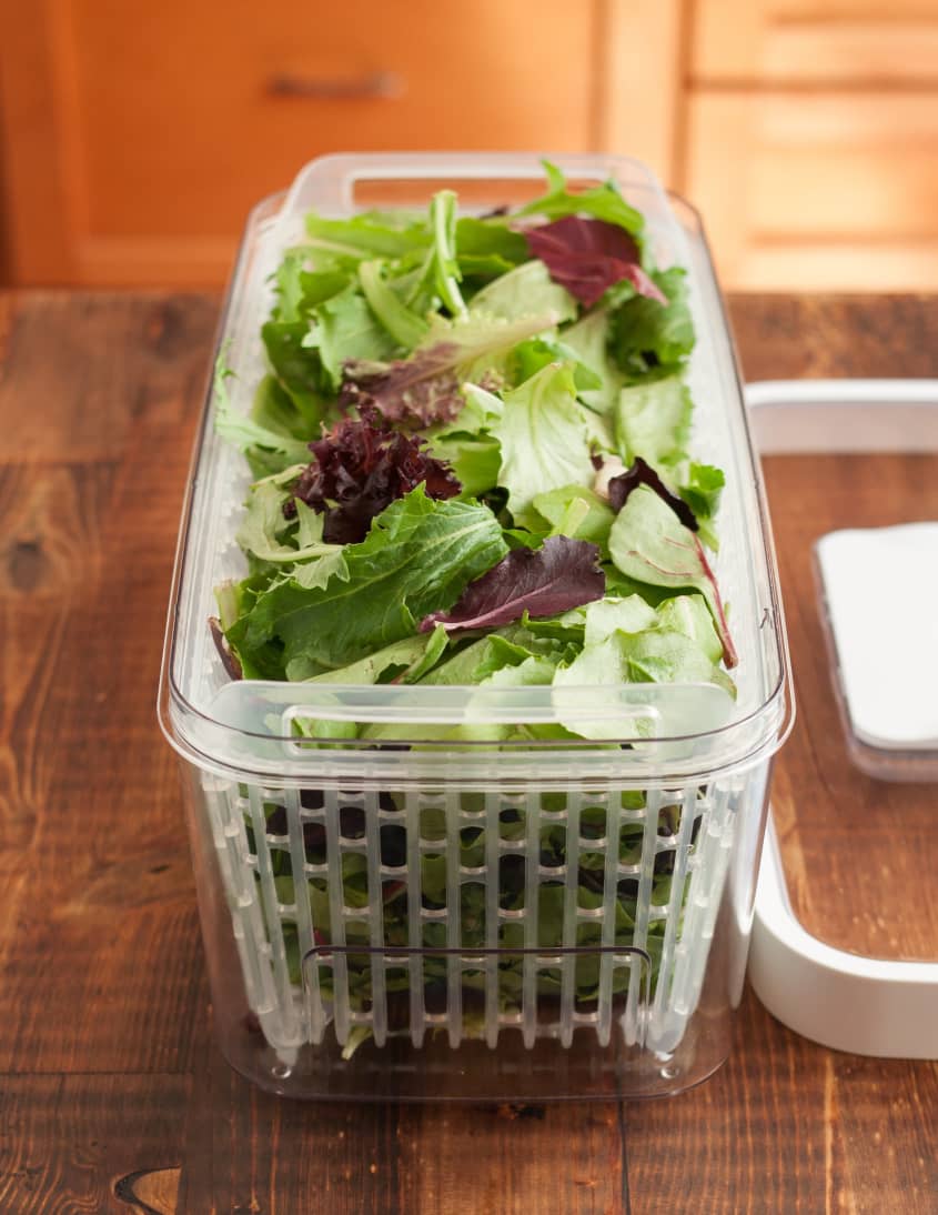 OXO's GreenSaver Produce Keeper Product Review The Kitchn