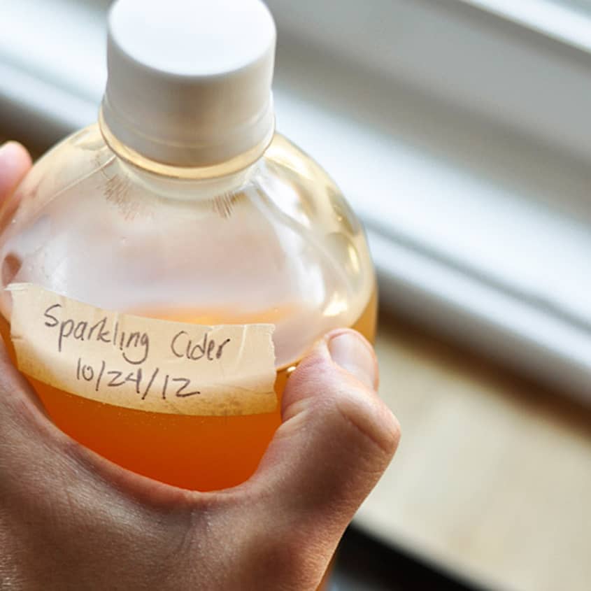 How To Make Sparkling Cider with Just 2 Ingredients The Kitchn