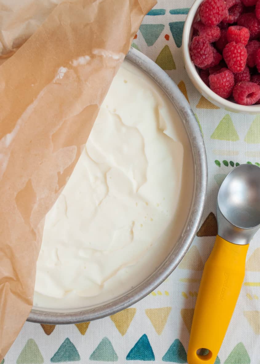 How To Make Frozen Yogurt Recipe Kitchn